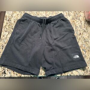 Mens North Face Shorts